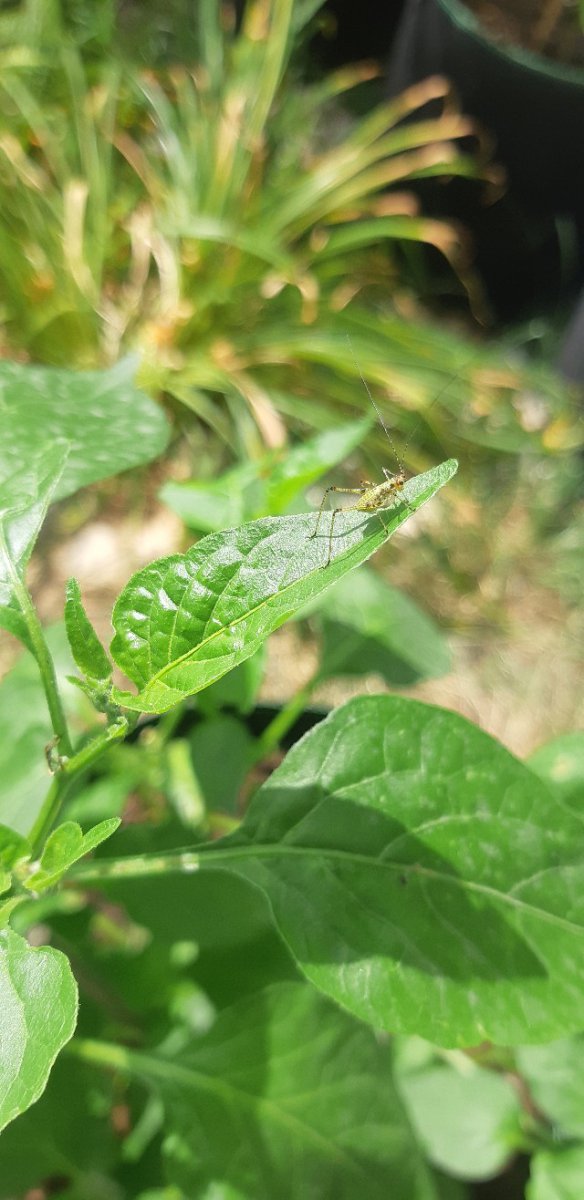 20190620_105814-640x1316.jpg