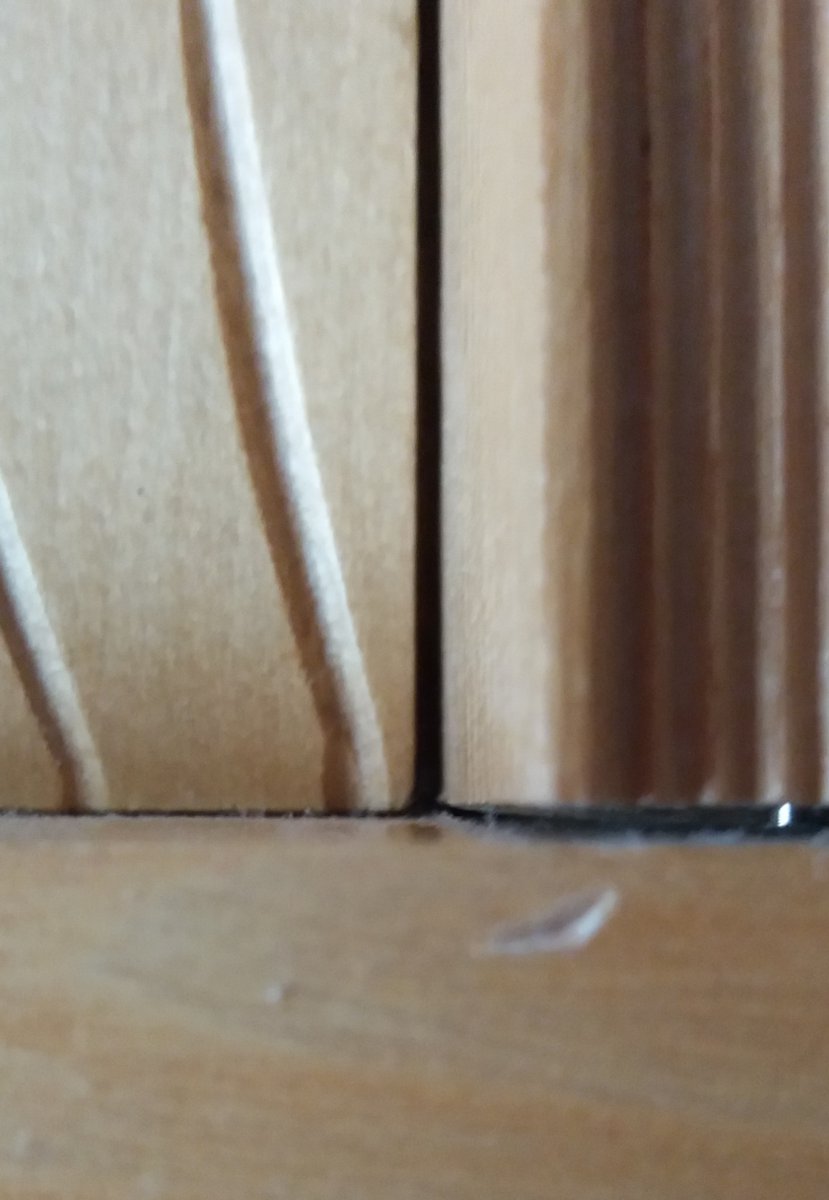 20200913_084721.jpg