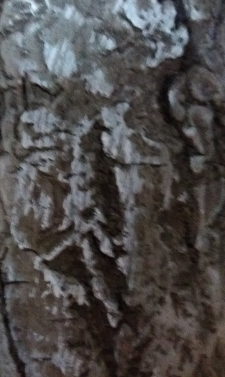 20200913_181858.jpg