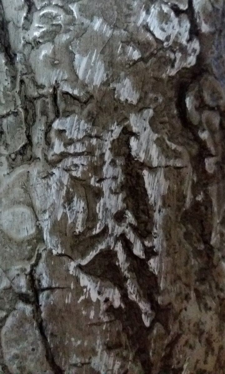 20200913_182659.jpg
