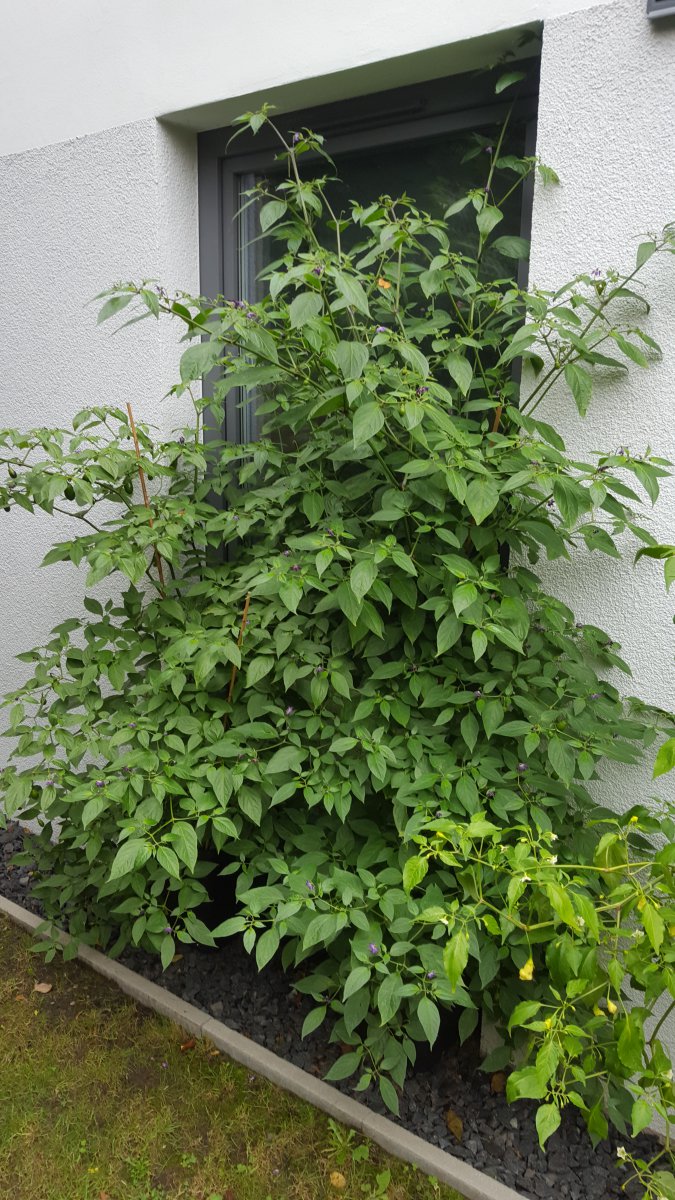 20201008_104145.jpg