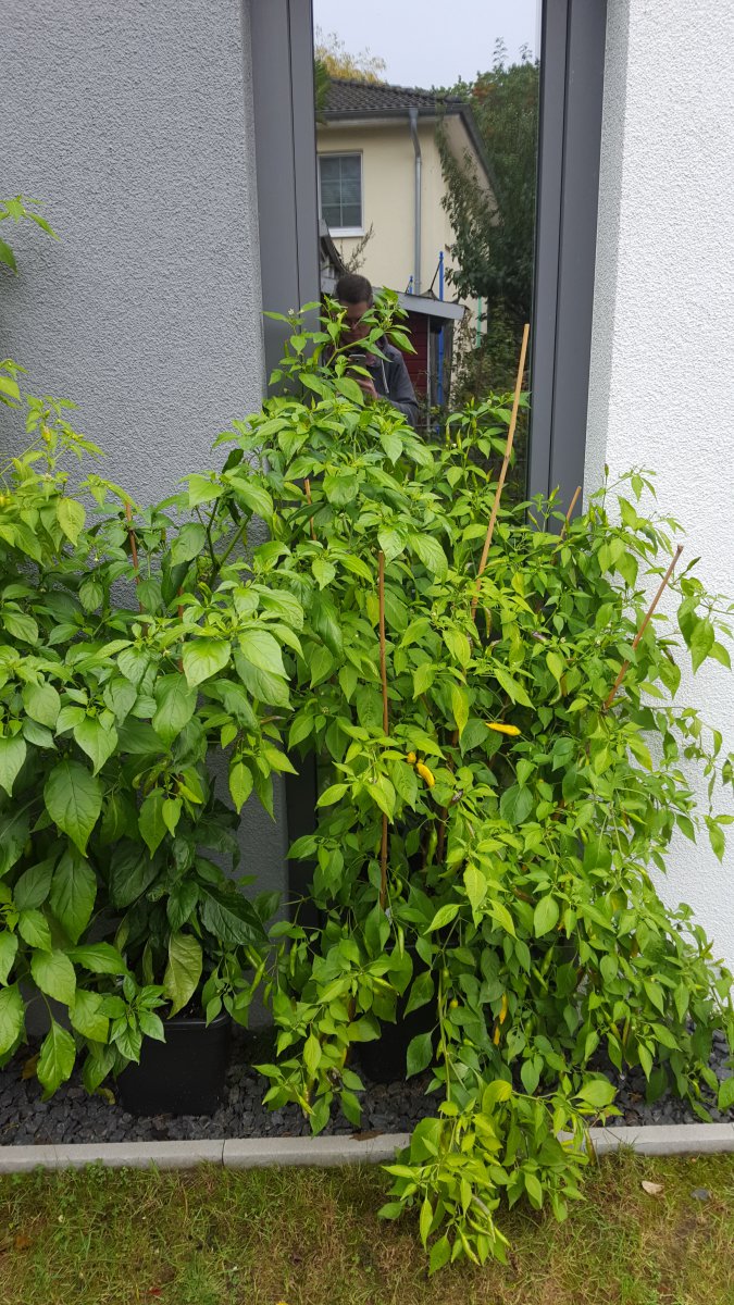 20201008_104201.jpg