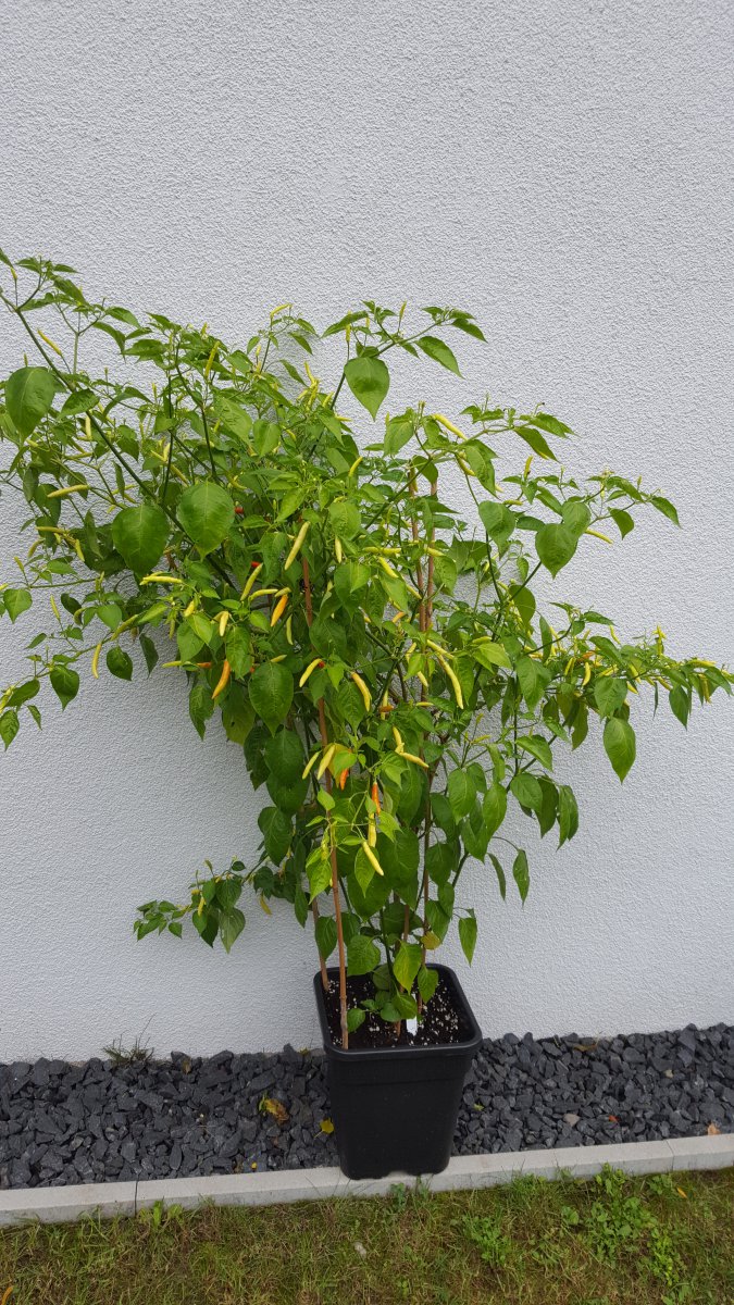 20201008_104210.jpg
