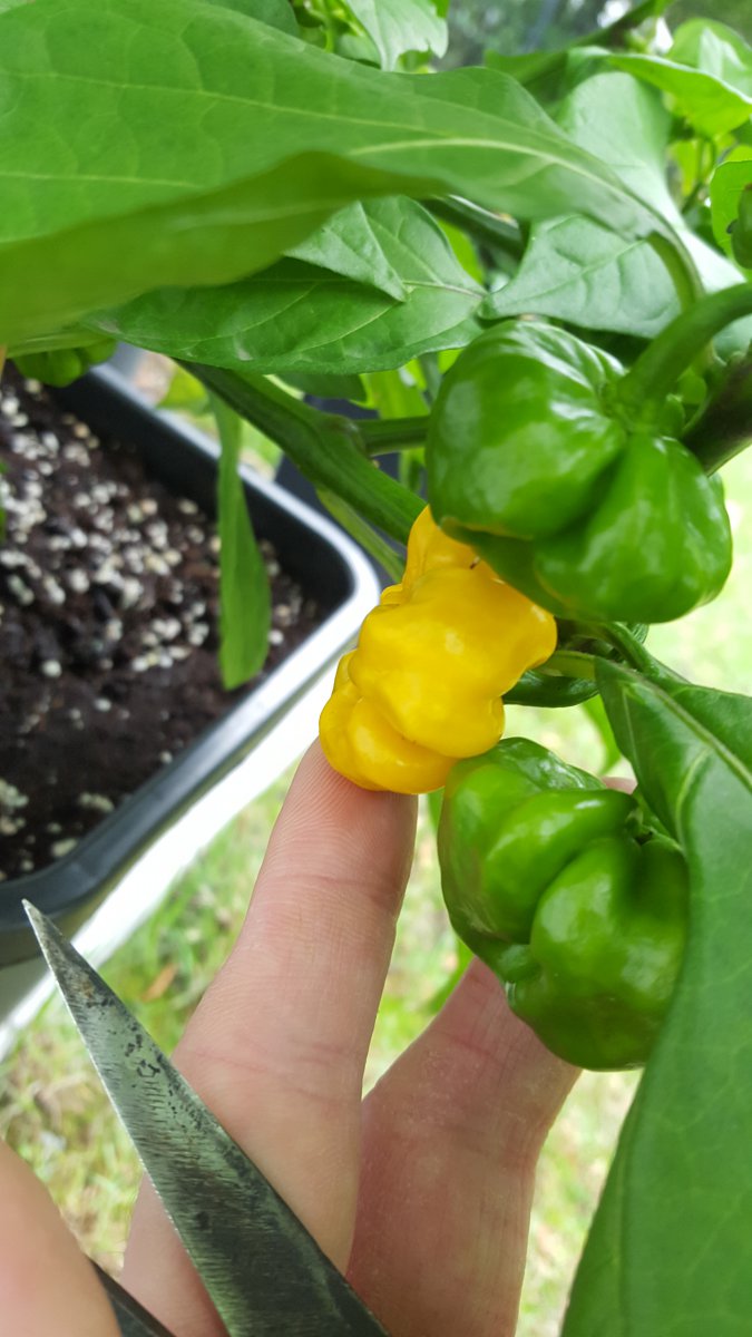20201008_104233.jpg