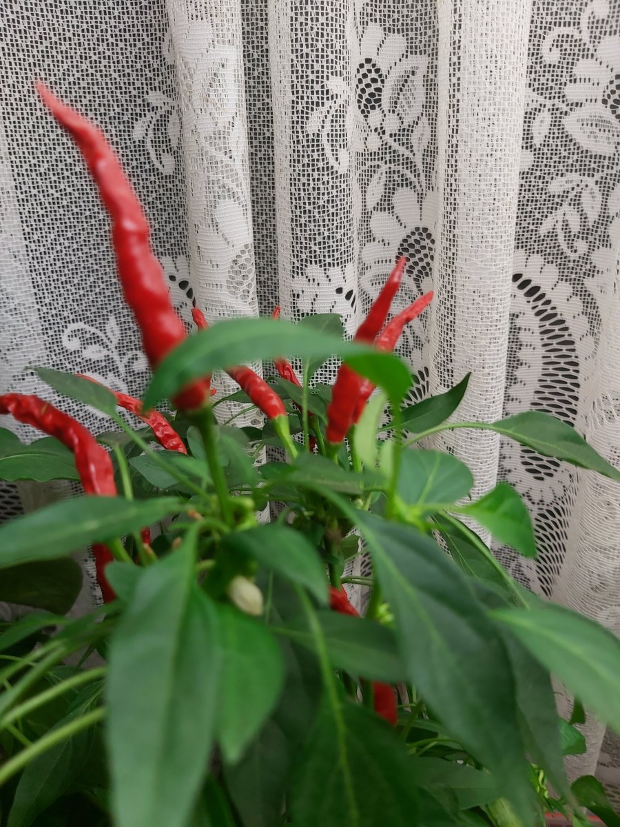 20201021_234455.jpg