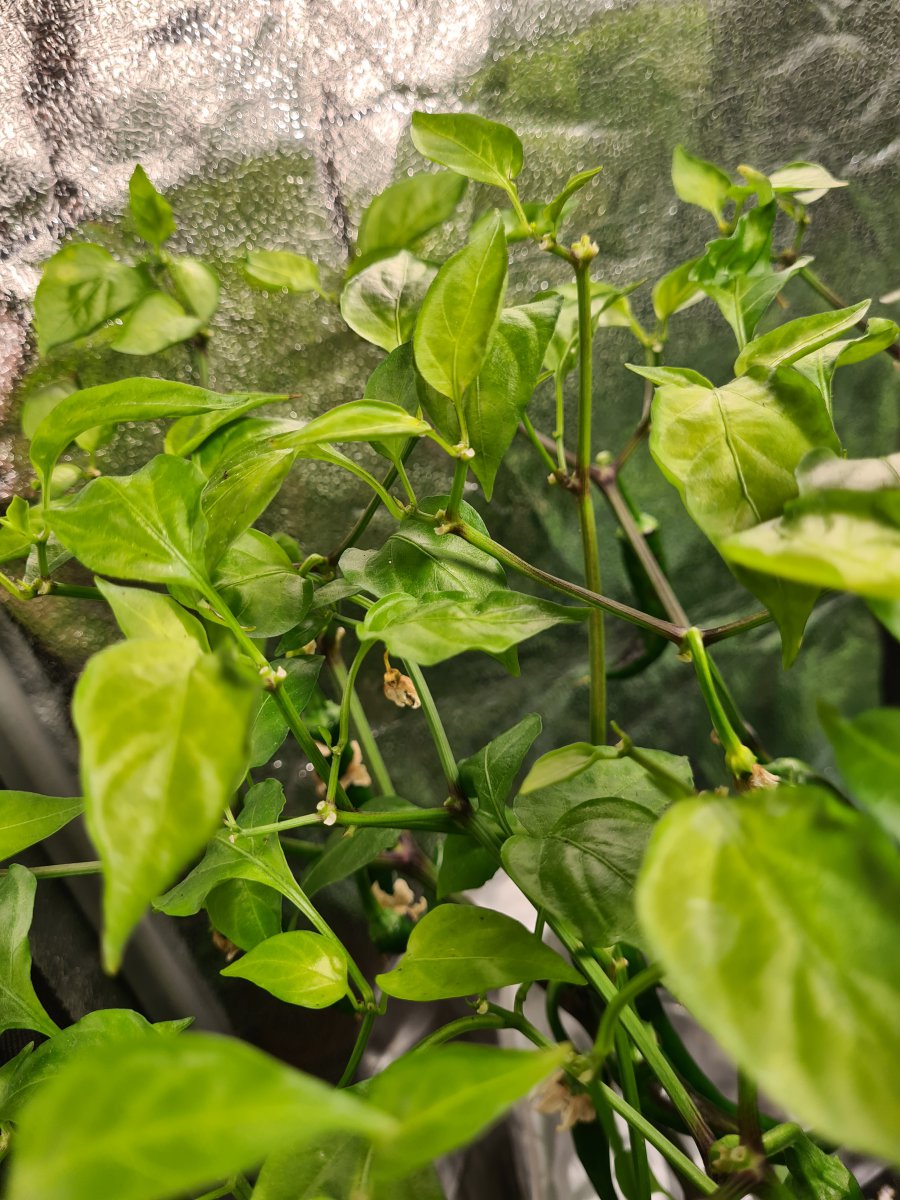 20201207_210453.jpg