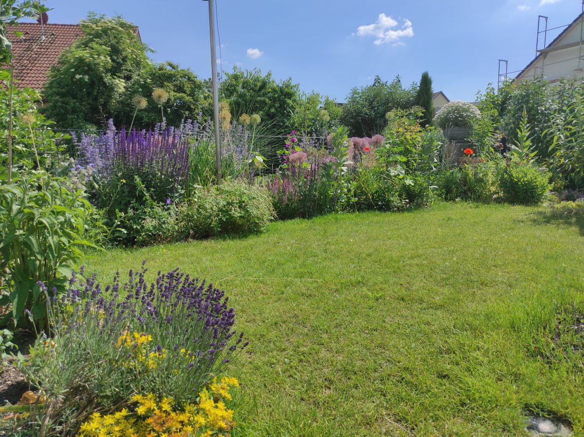 2021-06-18 Garten mit Blumenbeet.jpg