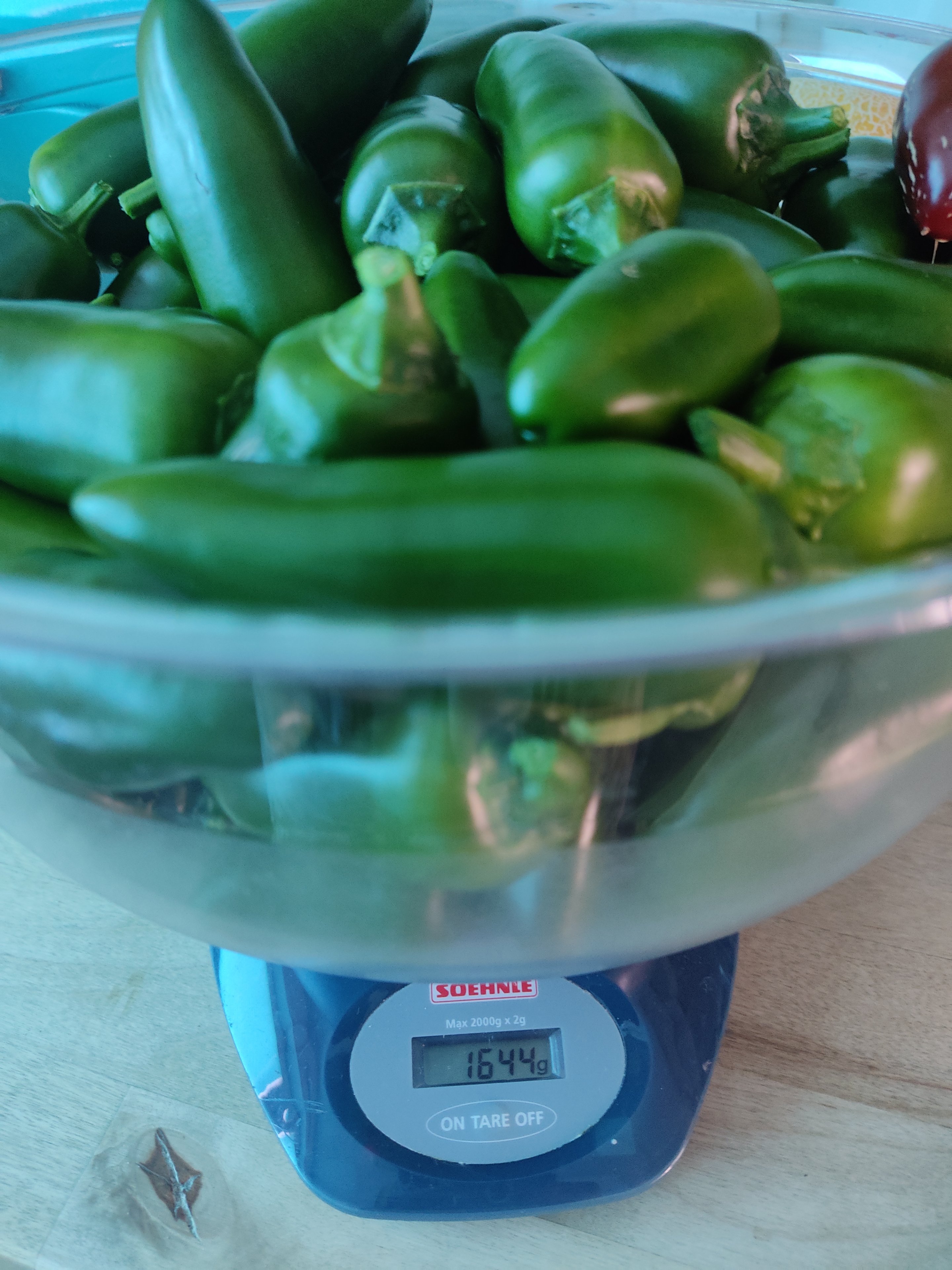 2022-07-31 Jalapeno - wiegen nach der Ernte.jpg