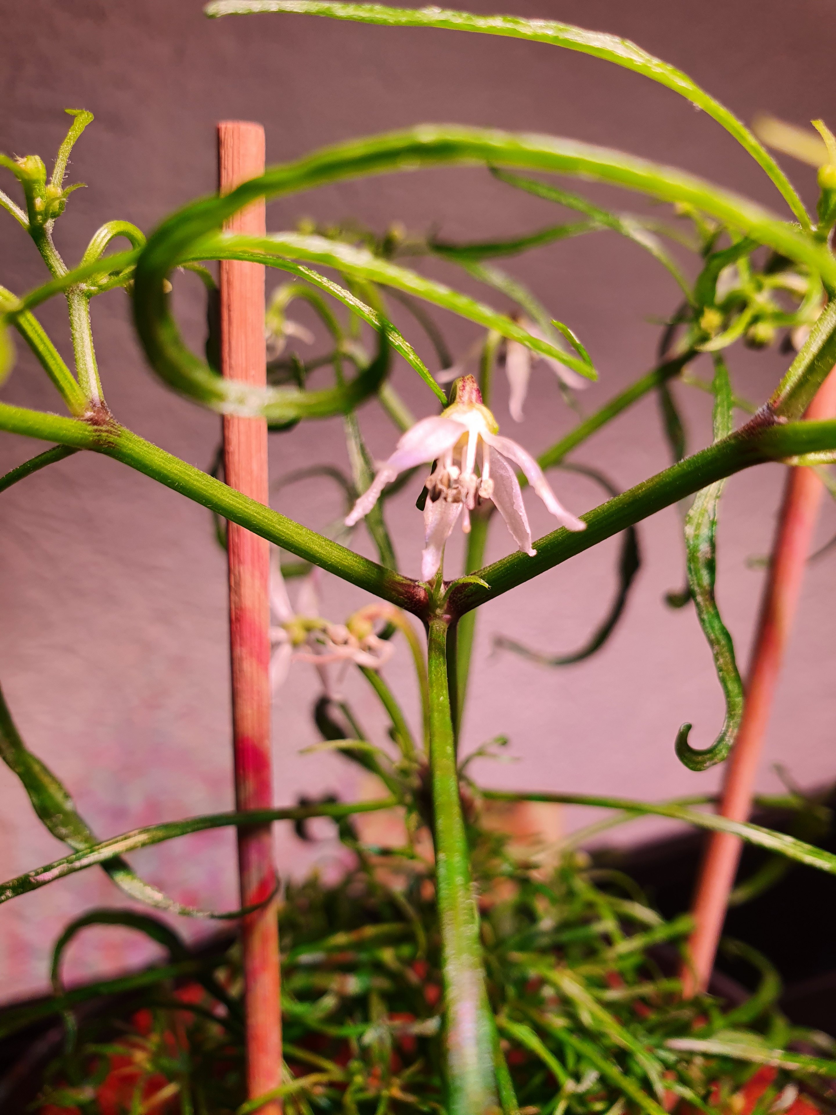 20220722_145008.jpg