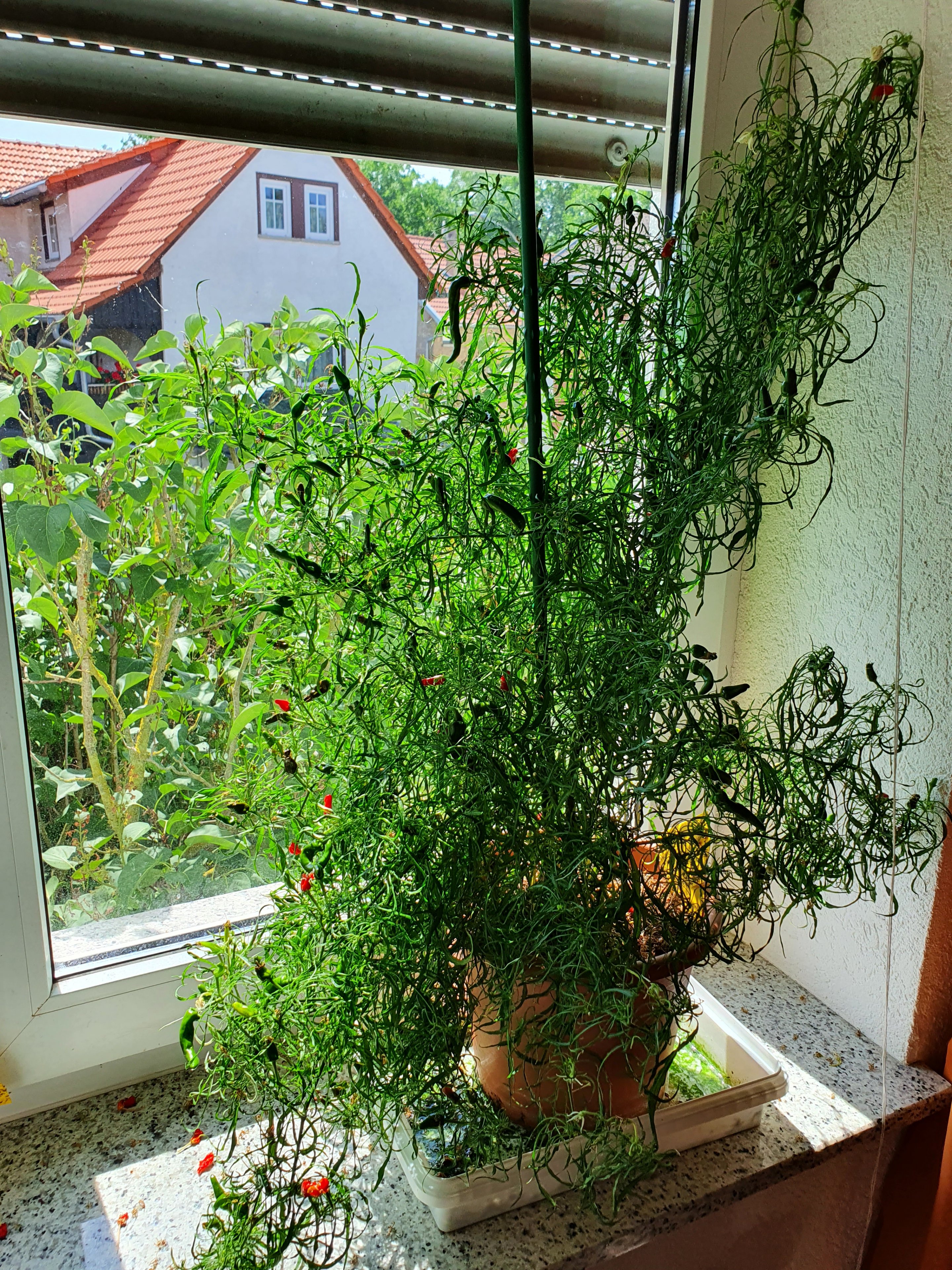 20220722_145115.jpg