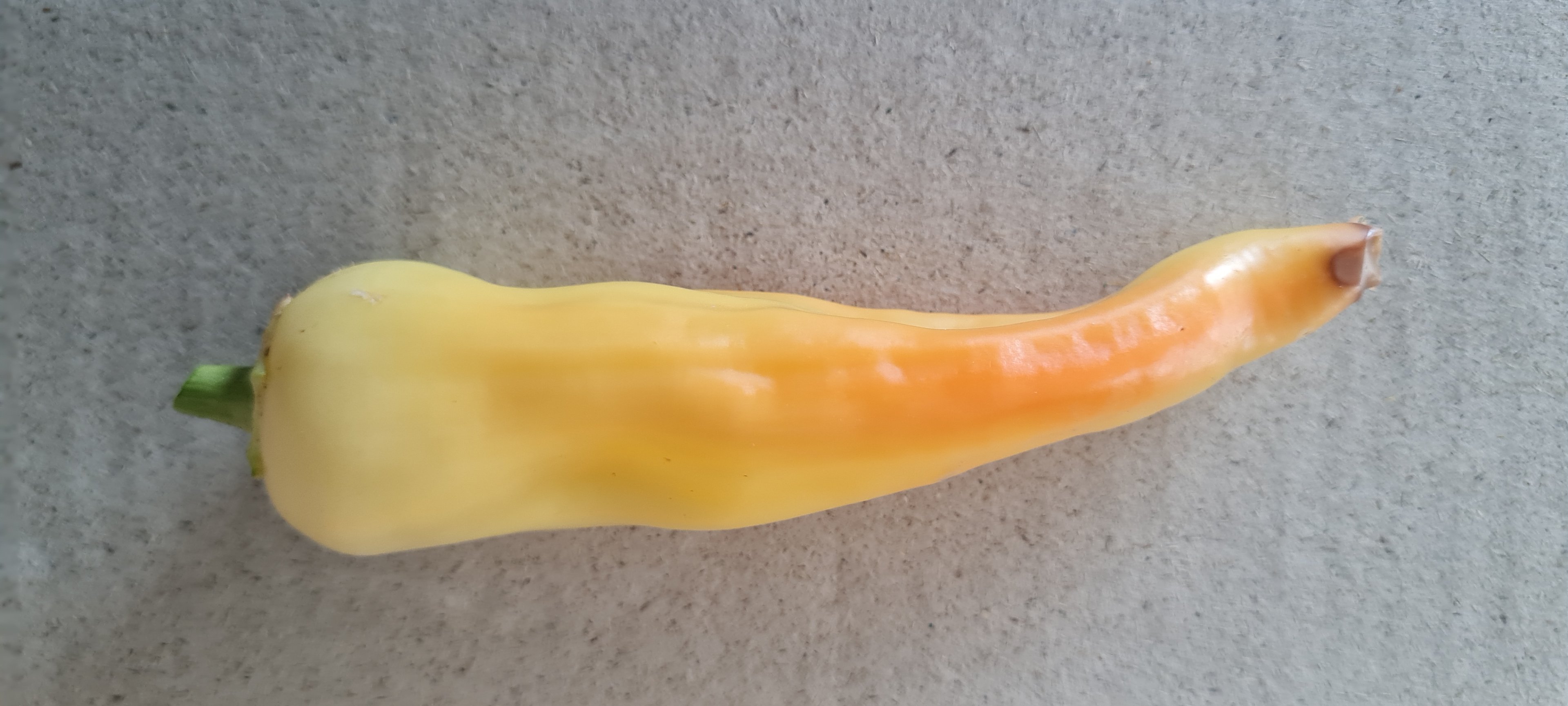 20230726_150038.jpg