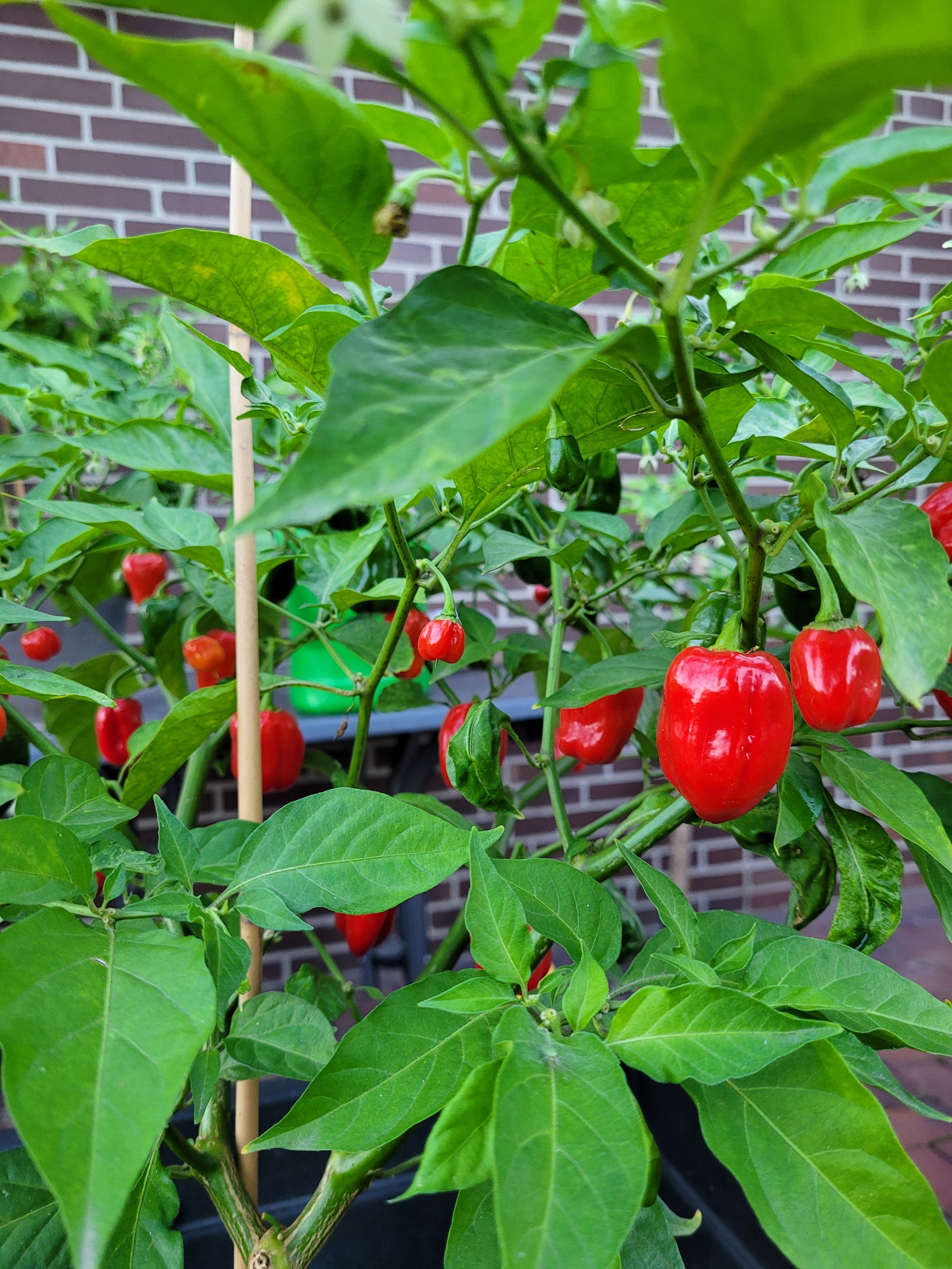 20230909_193311.jpg