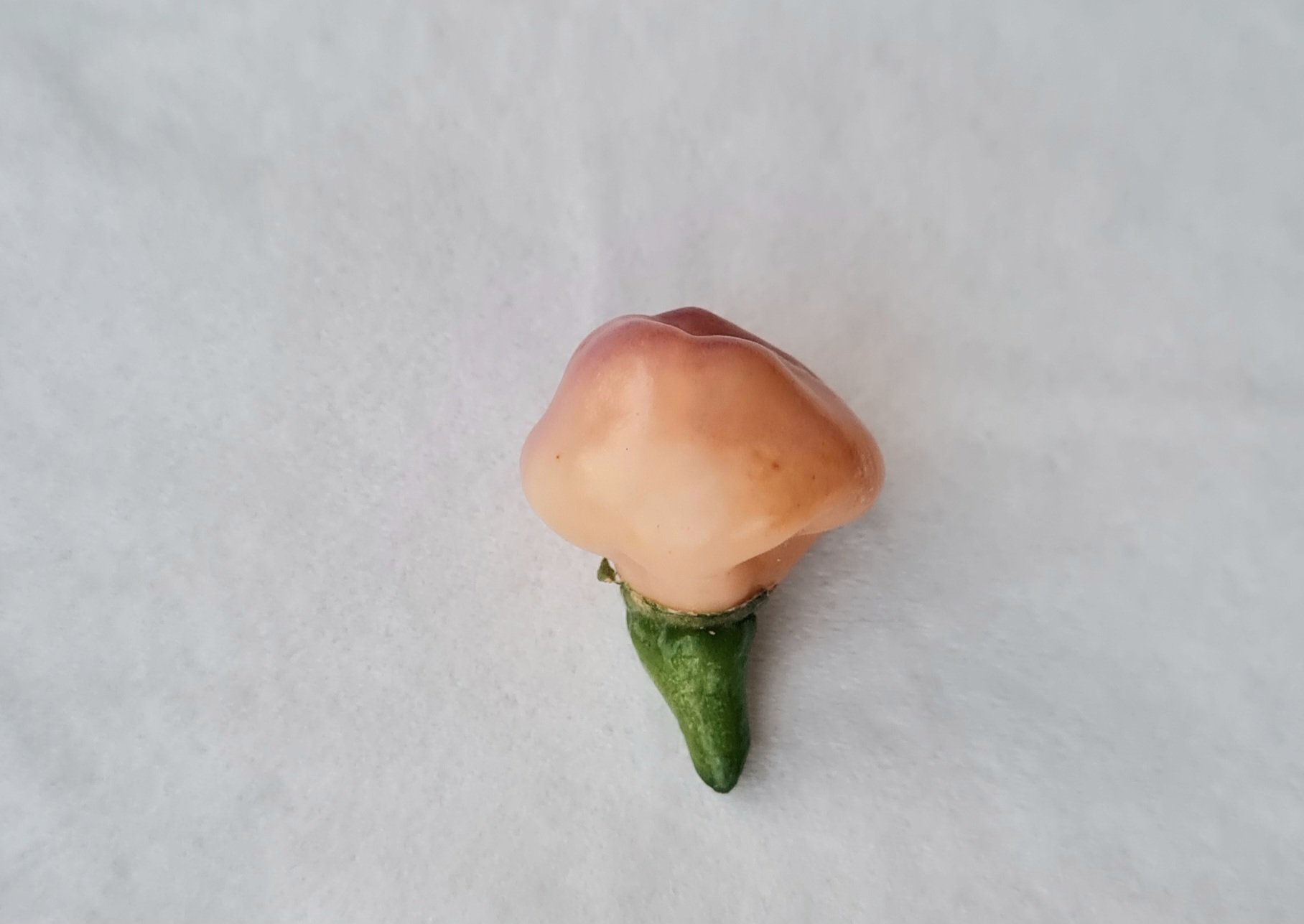 20240827_201109.jpg