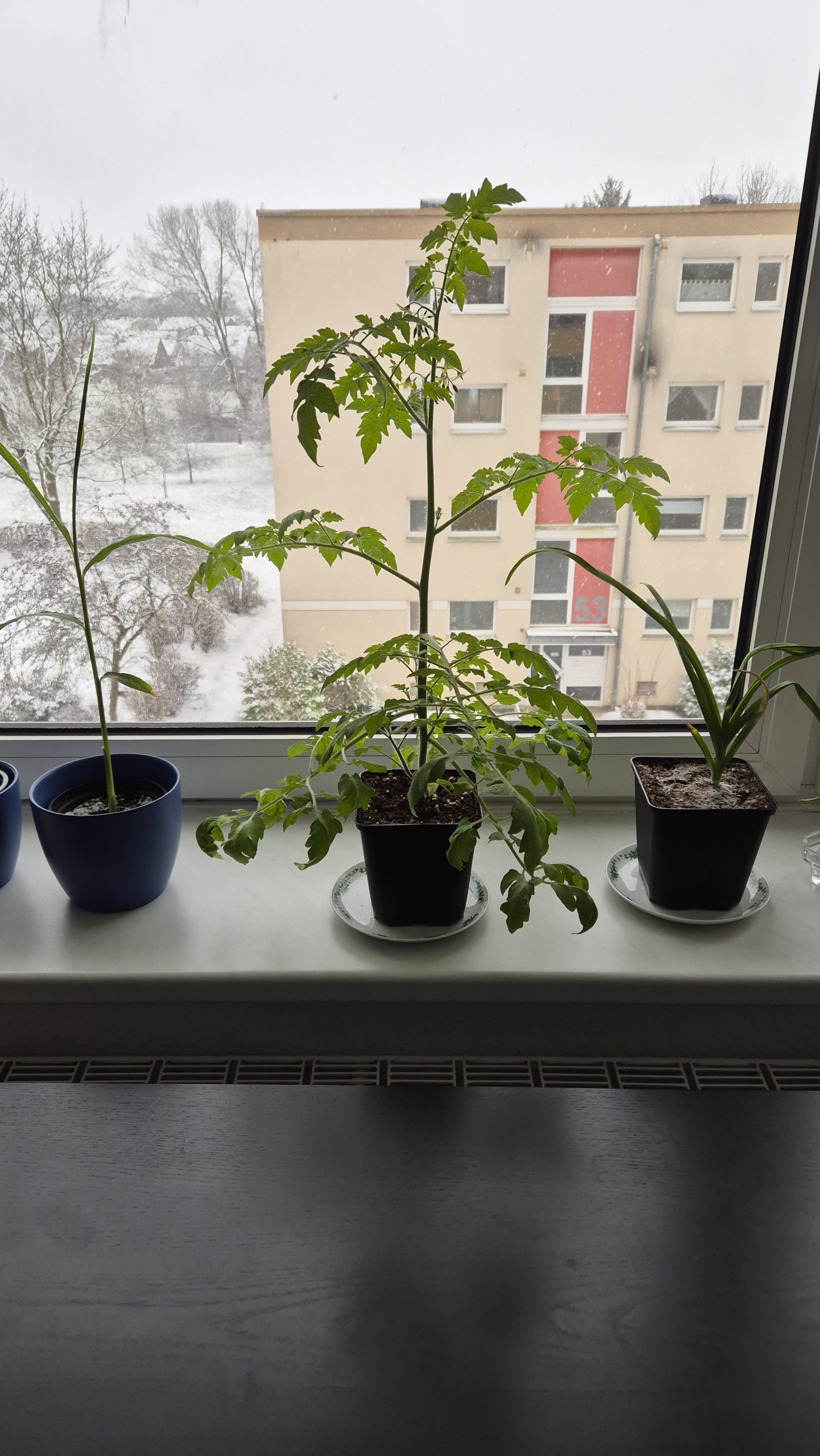 20250213_093307.jpg