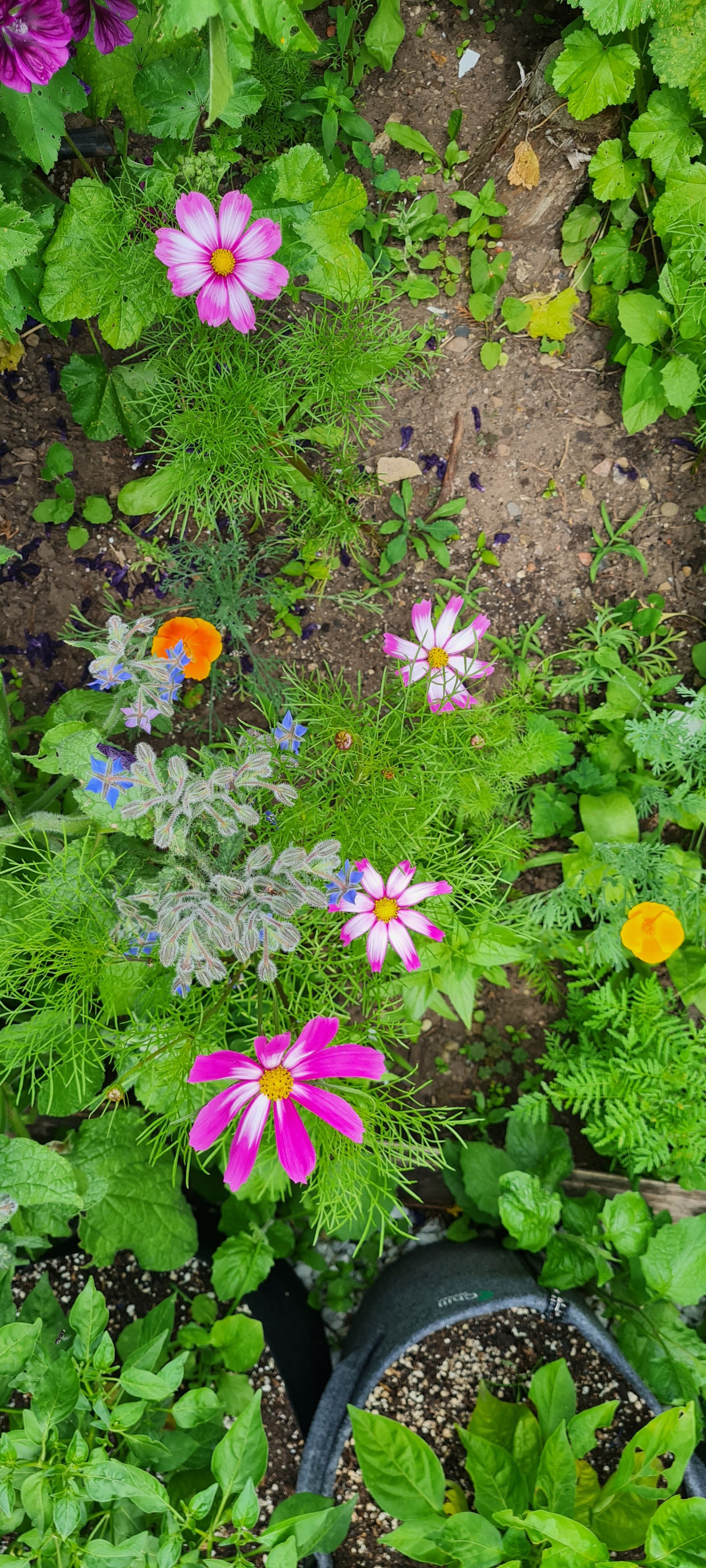 20250614_144825.jpg