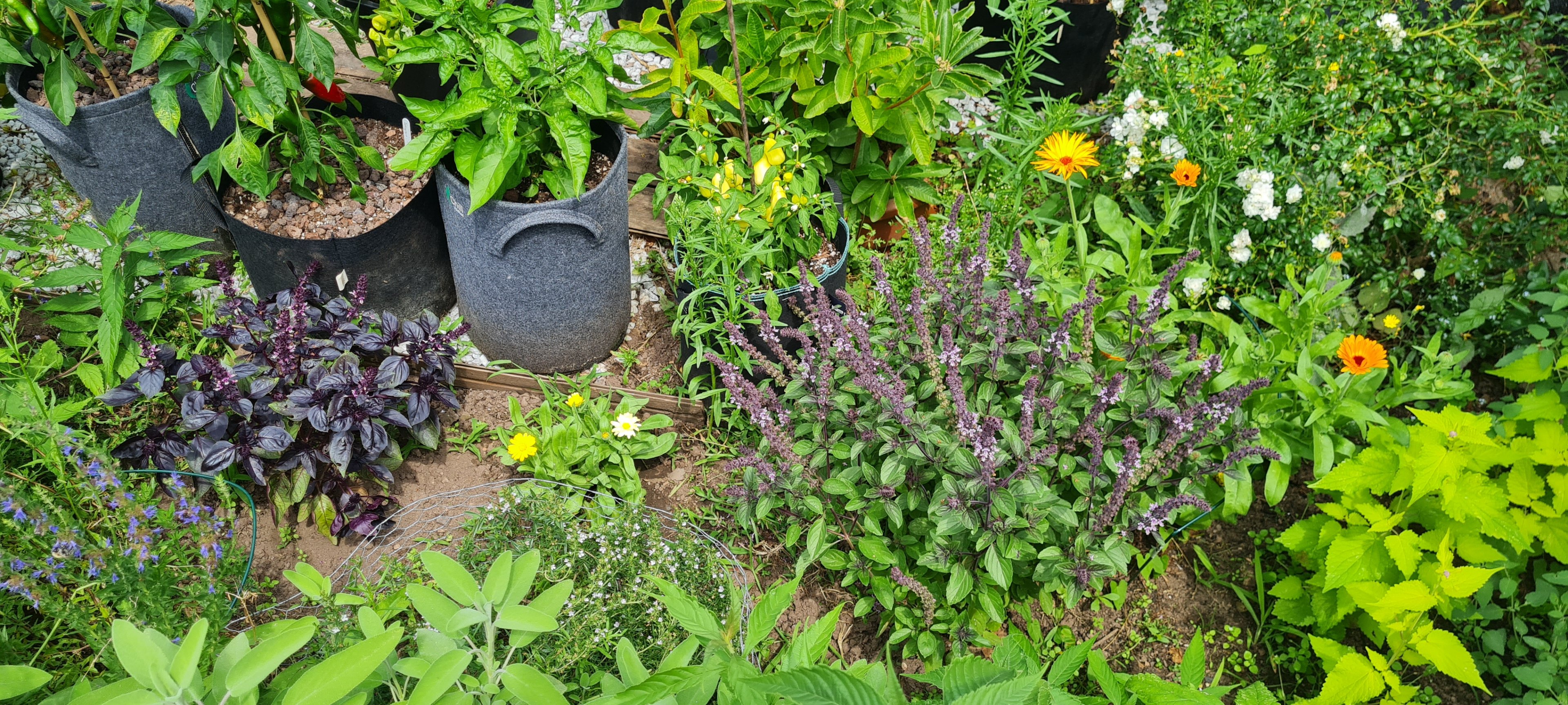 20250719_133941.jpg
