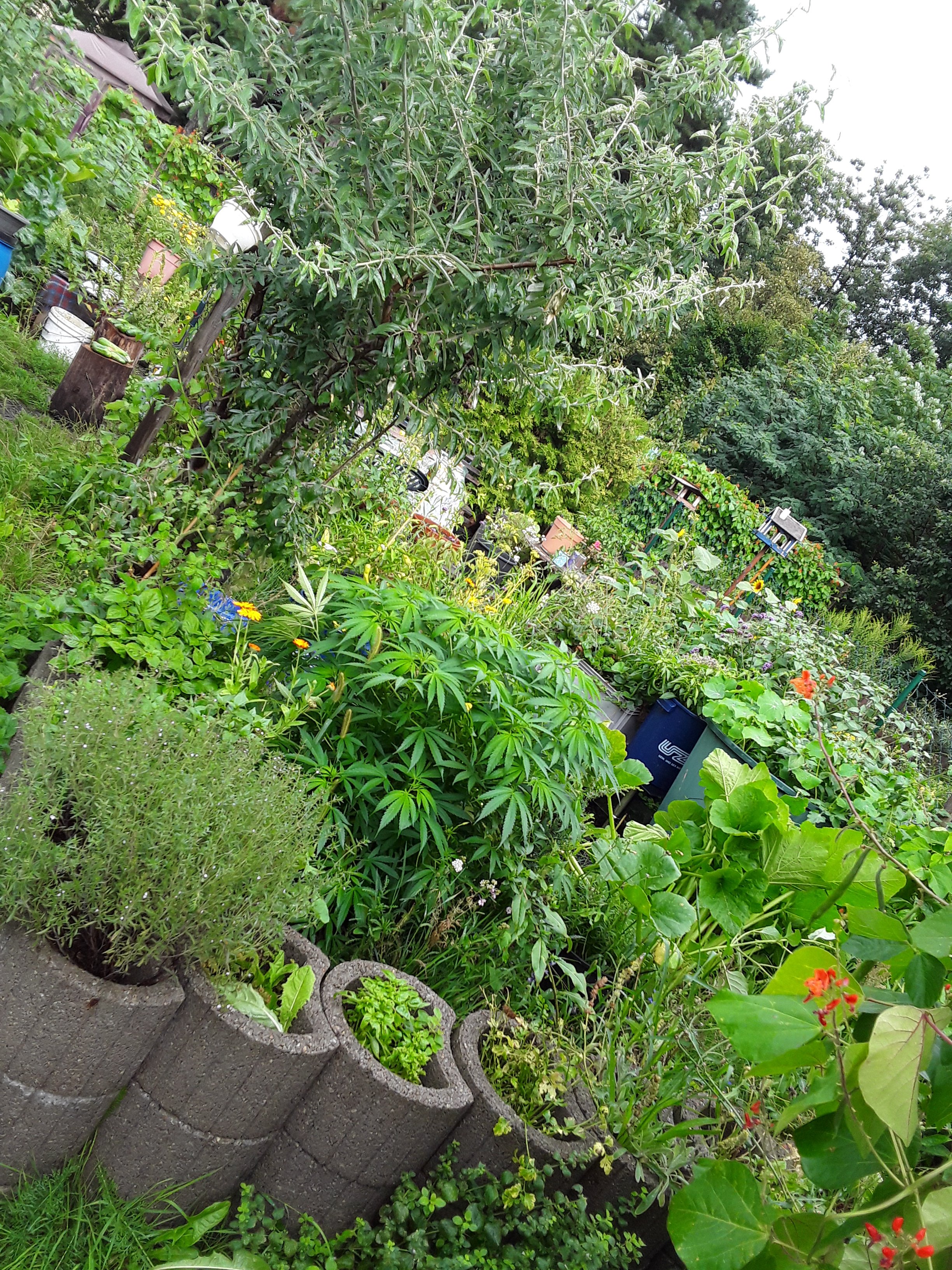 20250728_164214.jpg