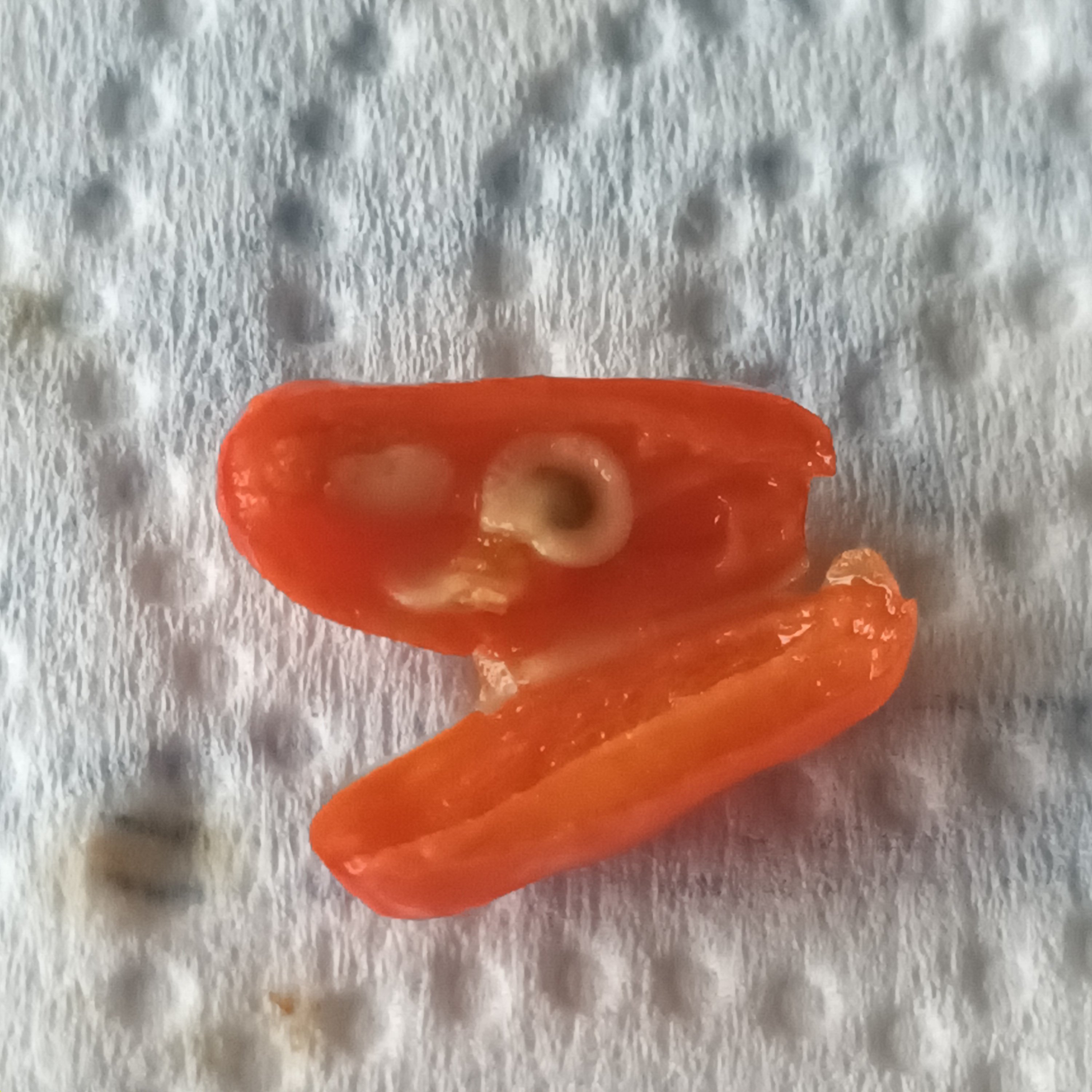 20250728_200003.jpg