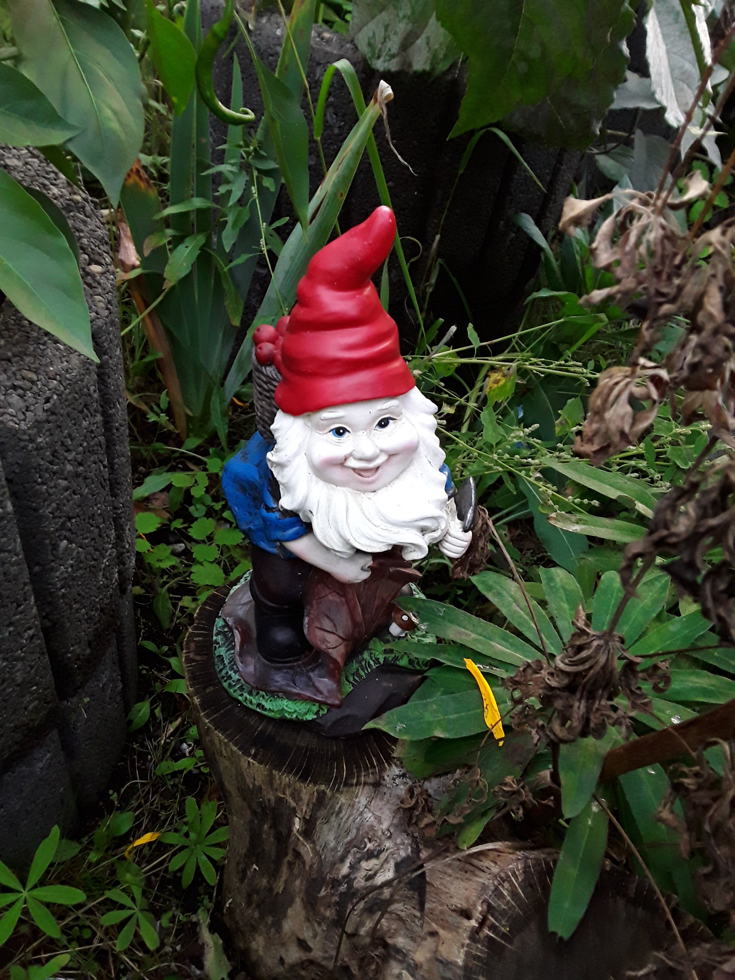 20250923_182946.jpg