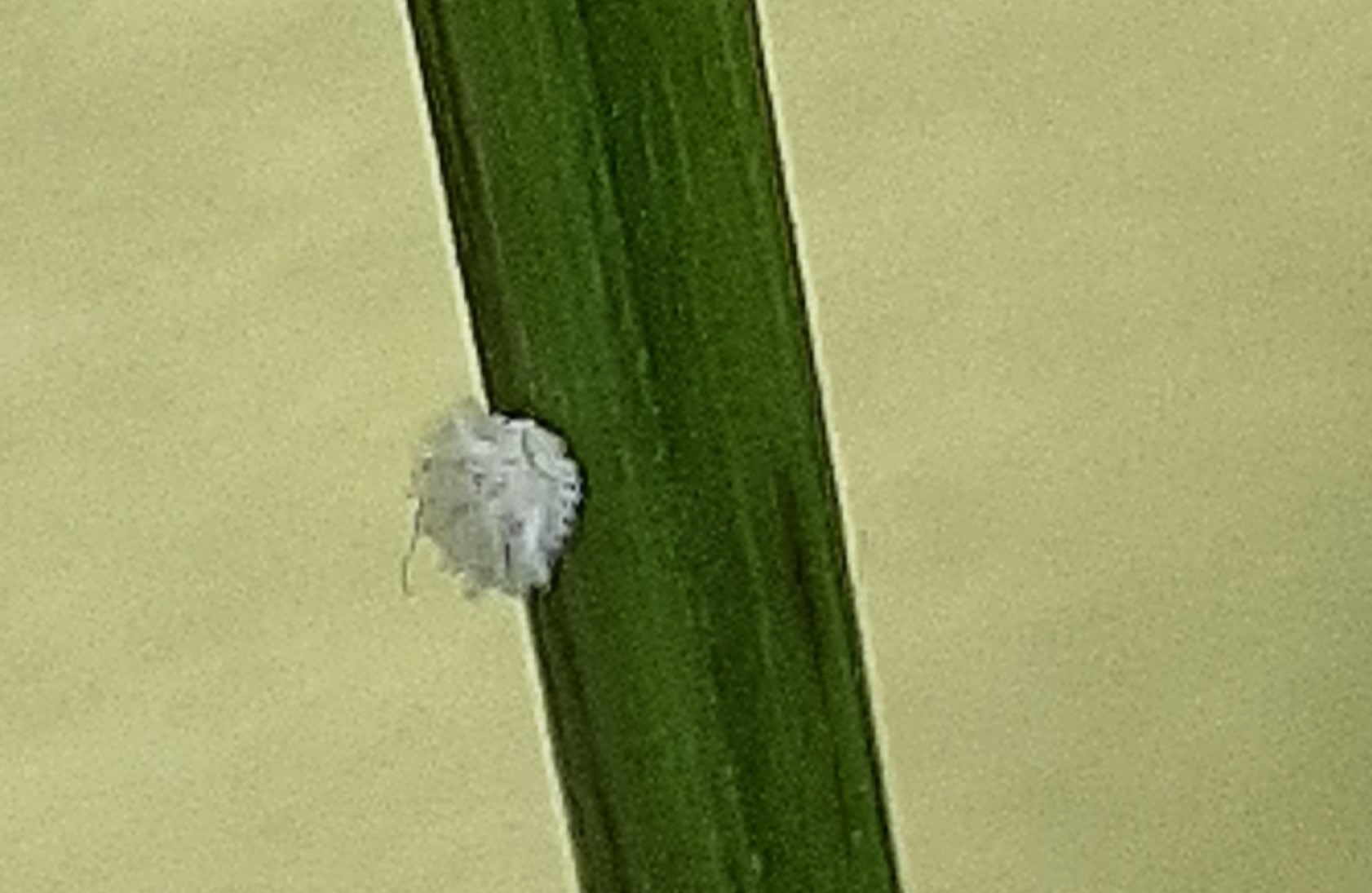 20260616_143010kl.jpg