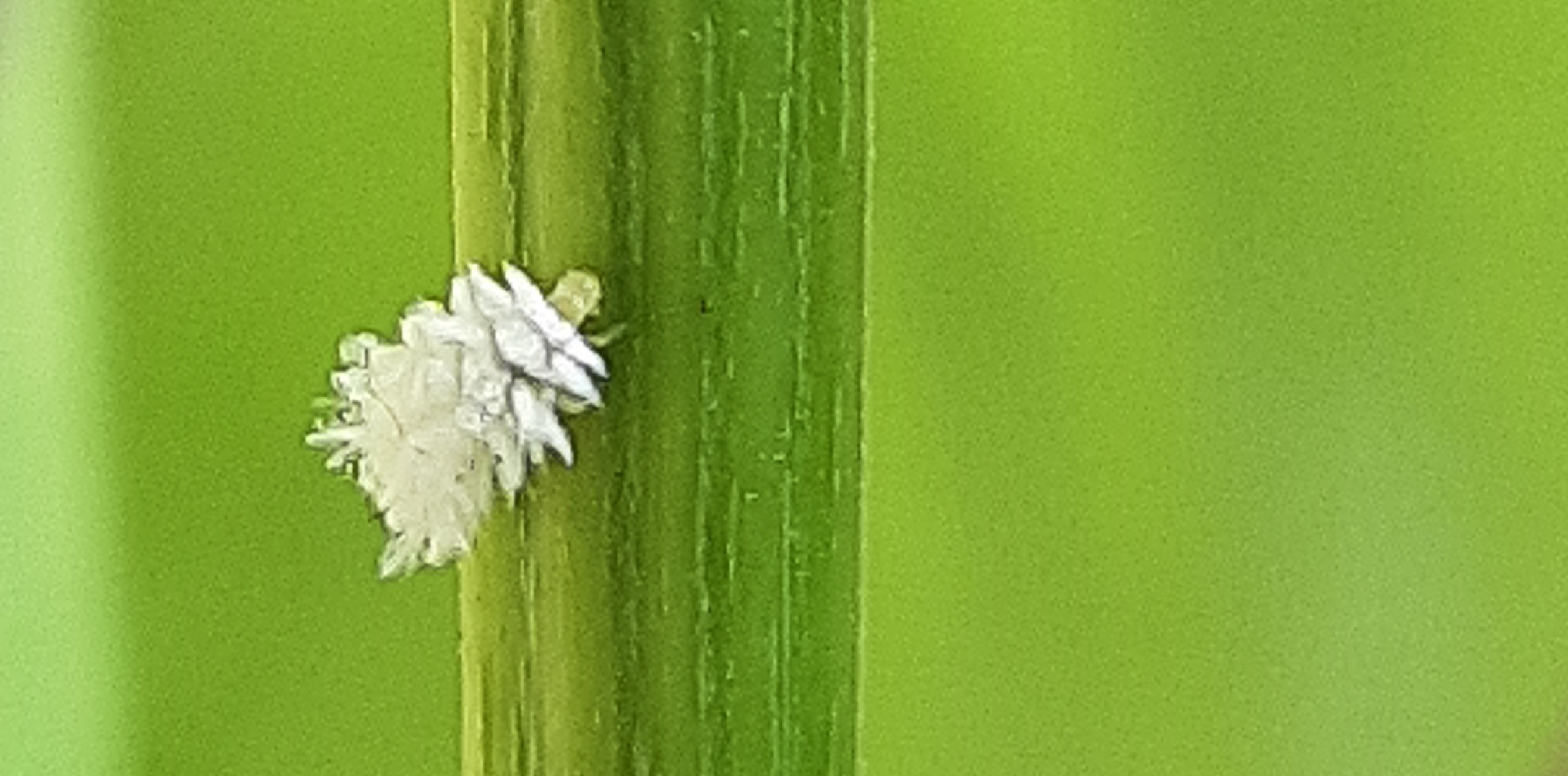 20260616_143037kl.jpg