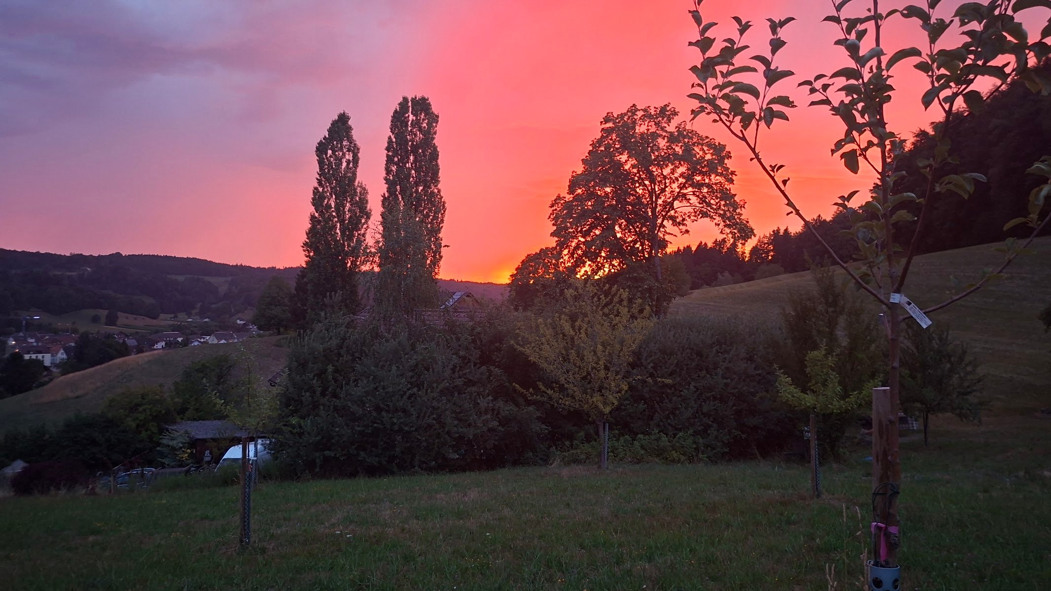 20260716_212348.jpg