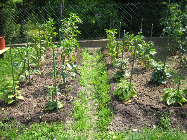 32_01.07.09_gartenbeetnrp9.jpg