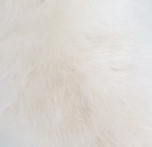 858312BD-AB9E-44FF-A135-A642E7513501.jpeg