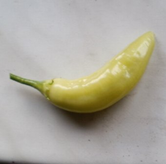 Aji White Wax.jpg