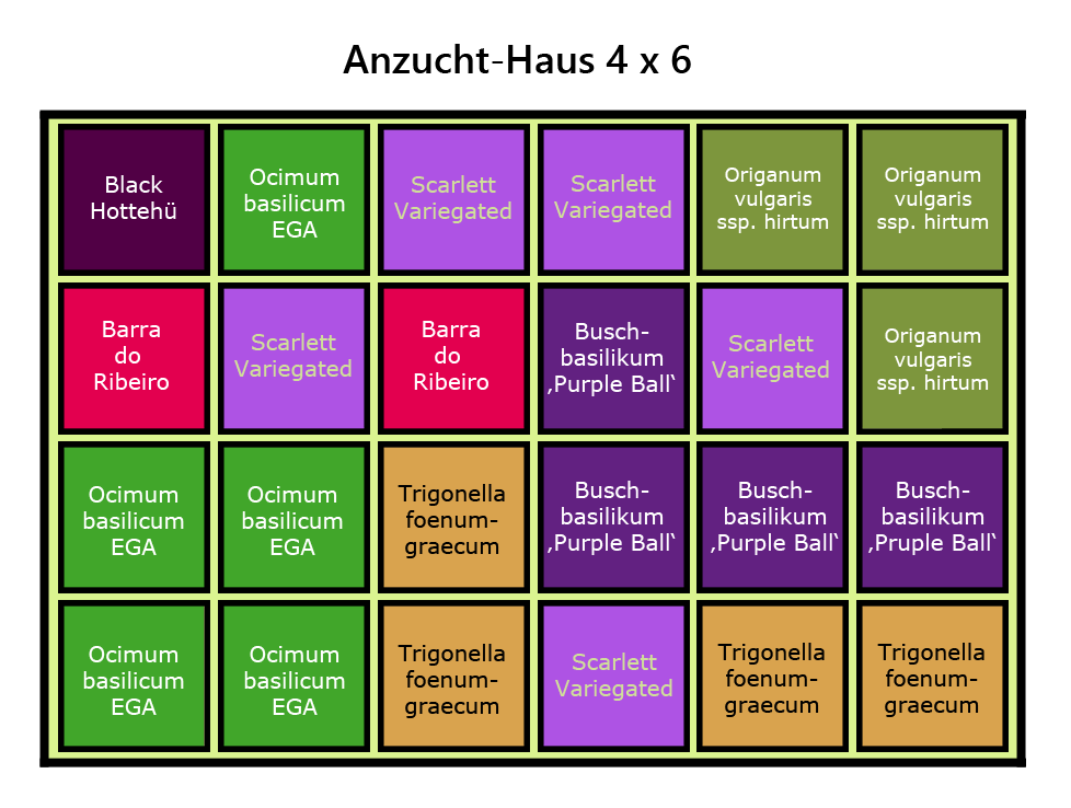 Anzuchthaus_Verteilung.png
