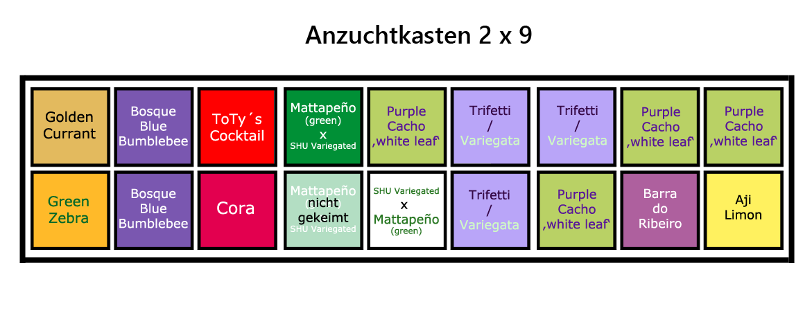 Anzuchtkasten_Verteilung-2023.png