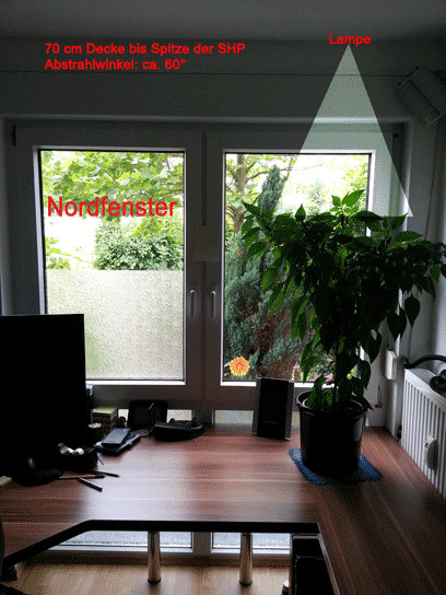 Beleuchtung-Arbeitszimmer.gif