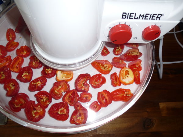 Bielmeier_20121222.JPG