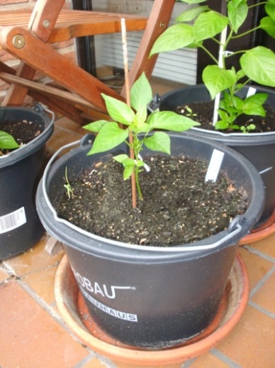BILD0022_small.jpg