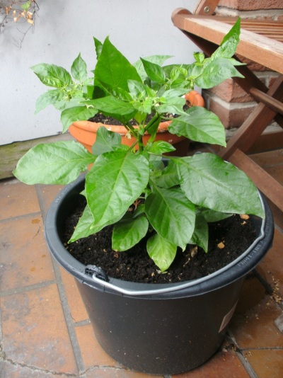 BILD0023_small.jpg