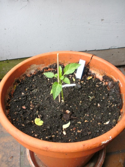 BILD0024_small.jpg