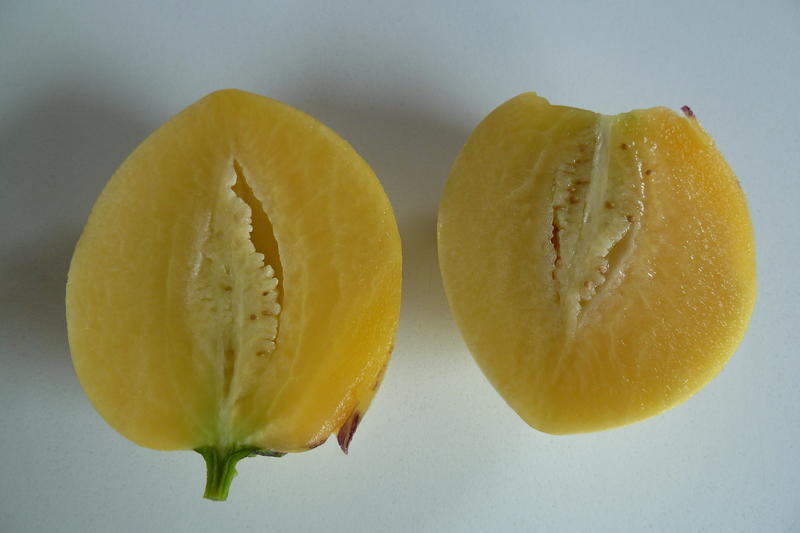 Birnenmelone.jpg