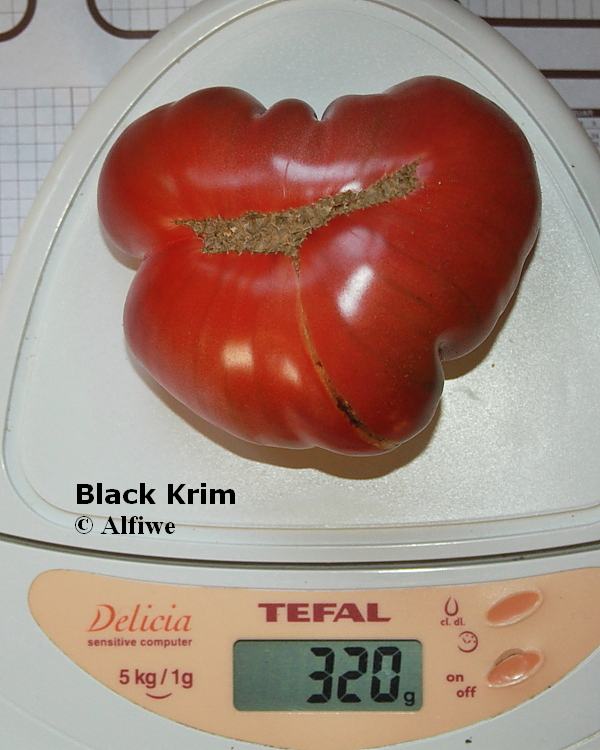 Black Krim 1-d1.JPG