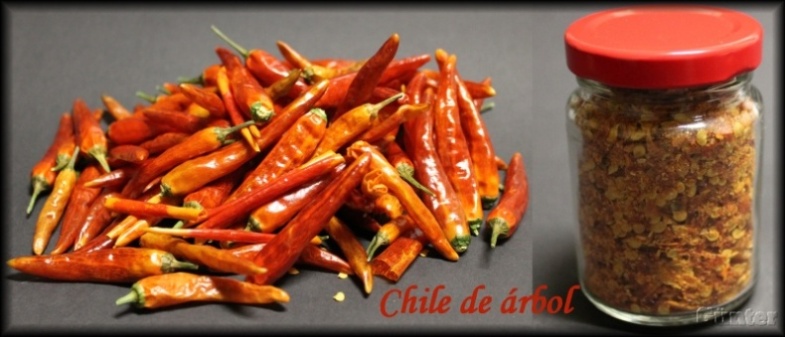 Chile de Arbol.jpg