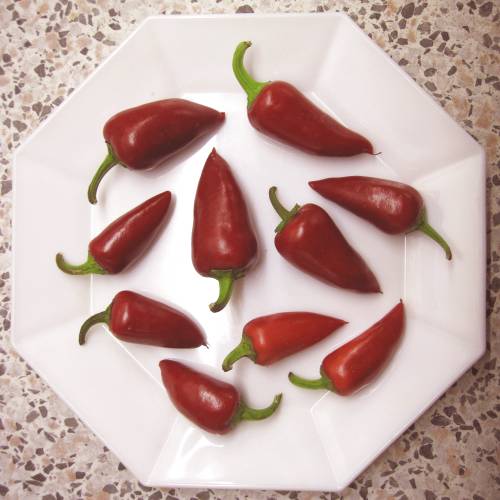 Chili-AS_Früchte.JPG