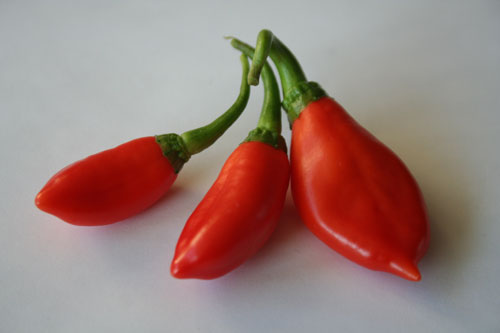 chili.jpg