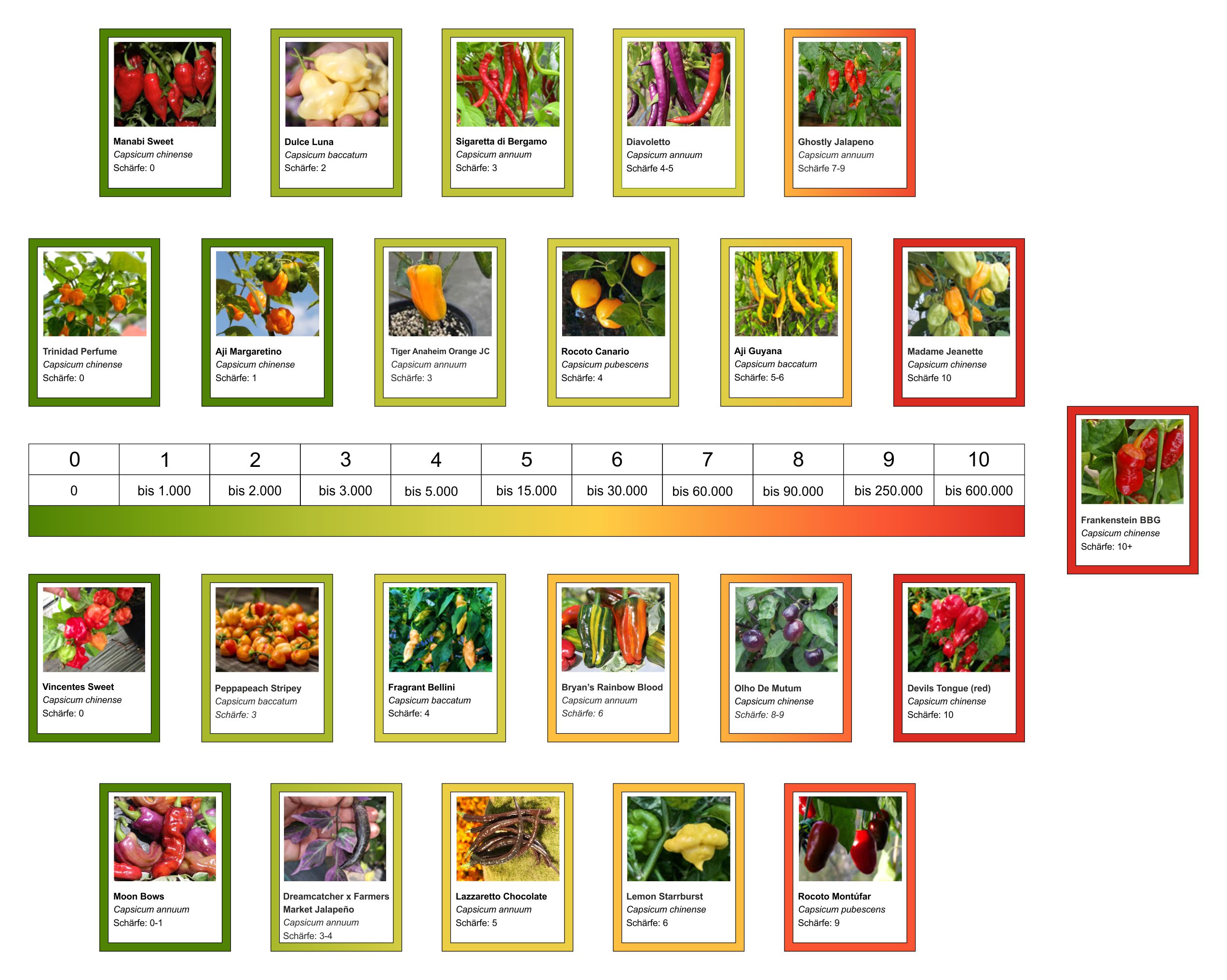 Chili-Scoville-Übersicht_2025 final.jpg