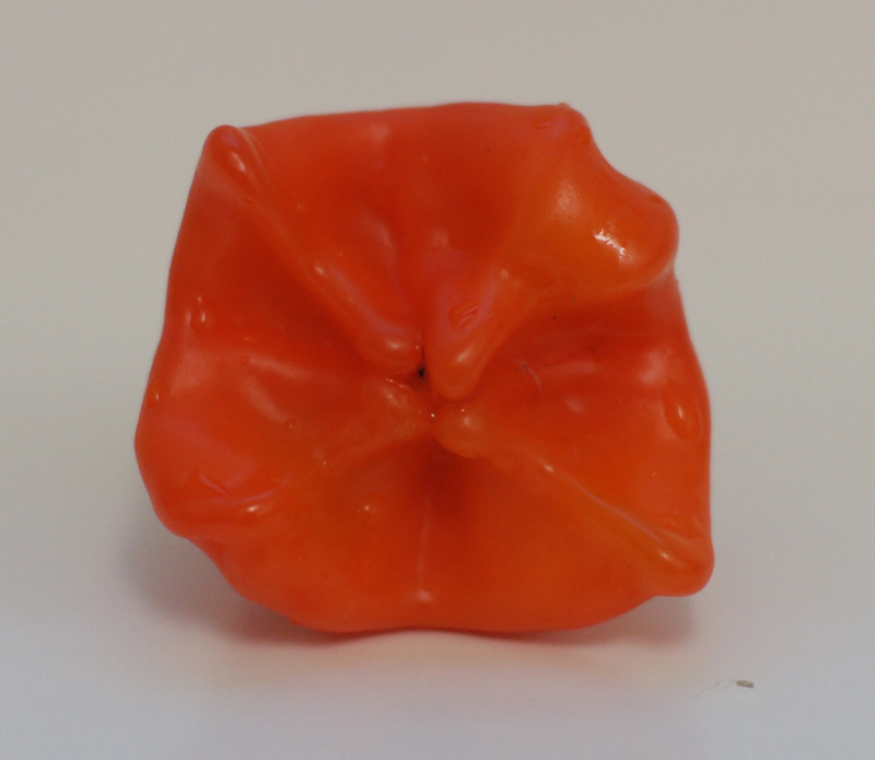 Chili3.jpg