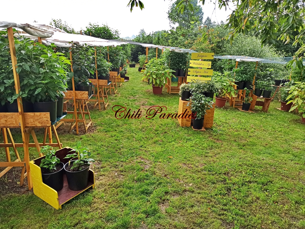 Chili_Paradies_Chili_Gartena.jpg