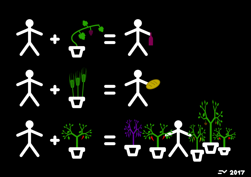 chilies.png