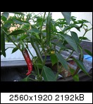 cimg3918tj8e.jpg
