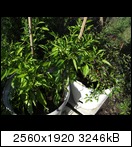 cimg39191j7w.jpg