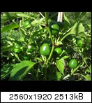 cimg3920jm4x.jpg