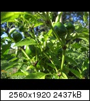 cimg39217mta.jpg