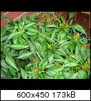 cimg982093ut.jpg